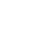 Business Review